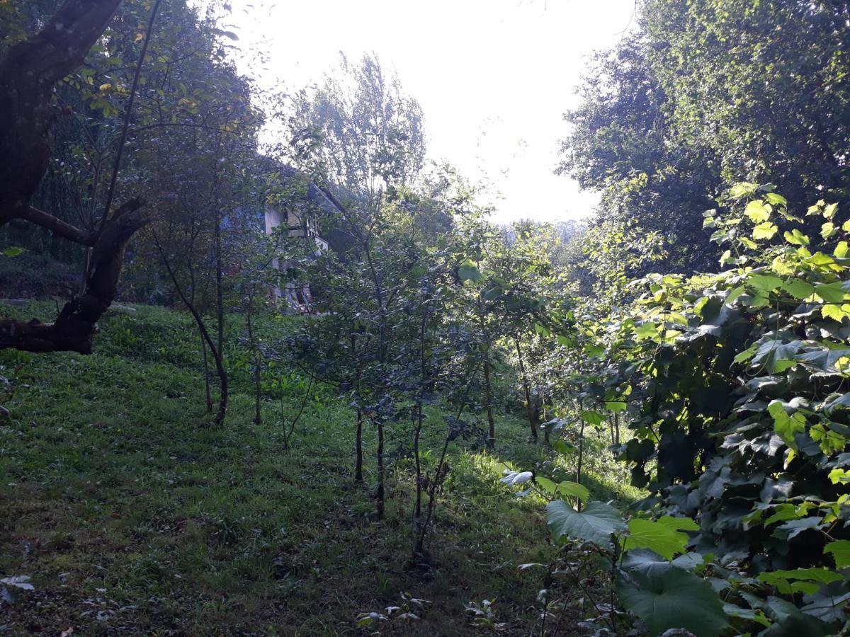 Hugoren Egoitza Zubialde Exterior photo